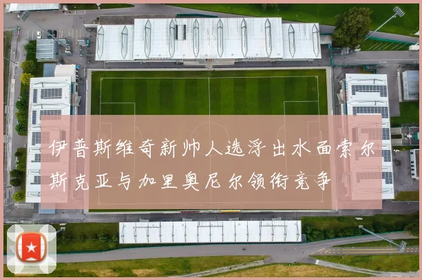 伊普斯维奇新帅人选浮出水面索尔斯克亚与加里奥尼尔领衔竞争