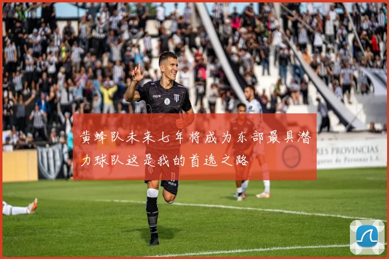 黄蜂队未来七年将成为东部最具潜力球队这是我的首选之路